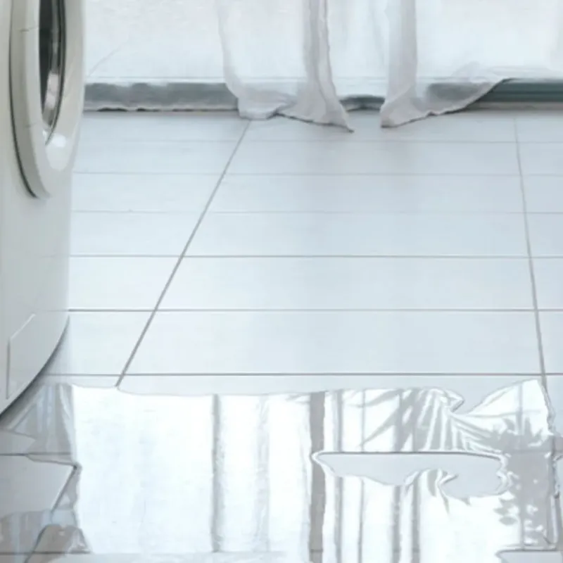 Appliance Leak Cleanup in Westwood, MI