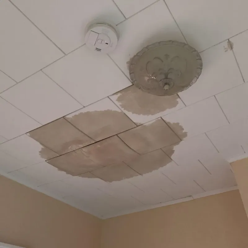 Ceiling Water Damage Repair in Westwood, MI