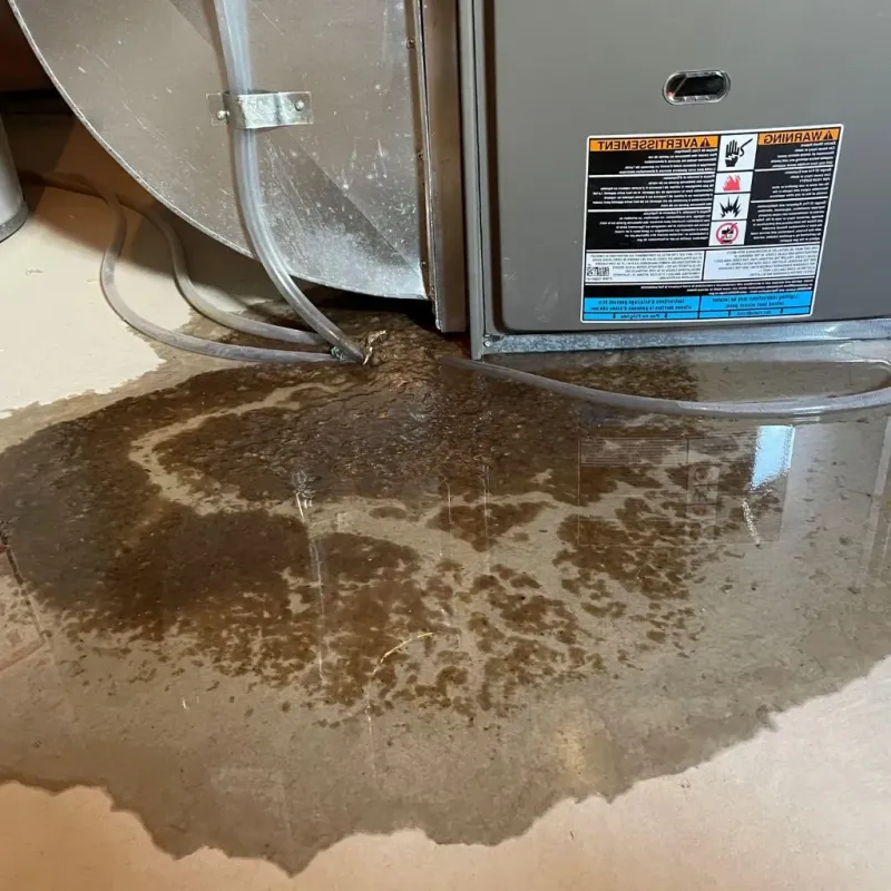 Pipe Burst and Leak Restoration in Westwood, MI