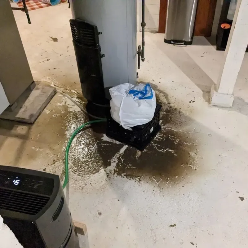 Sewage Backup Cleanup Service in Westwood, MI